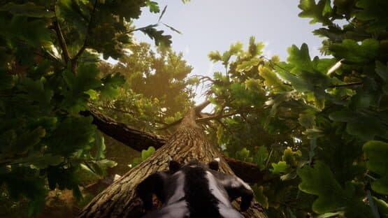 Away: The Survival Series screenshot 6