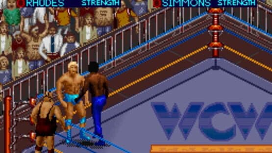 WCW SuperBrawl Wrestling screenshot 3