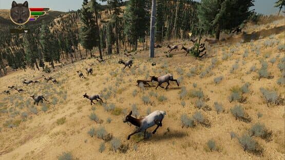 WolfQuest: Anniversary Edition screenshot 4