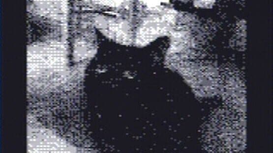 Game Boy Camera screenshot 2