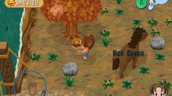 Harvest Moon: Magical Melody screenshot 5