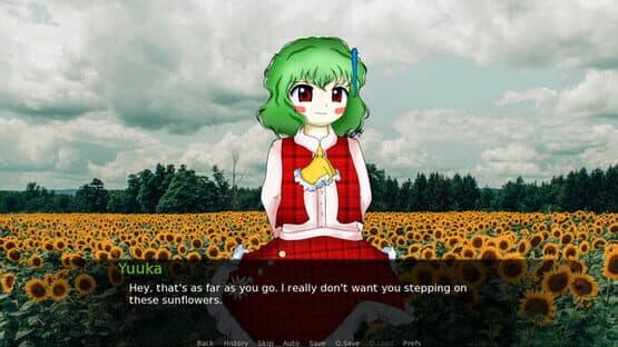 CBT With Yuuka Kazami screenshot 1
