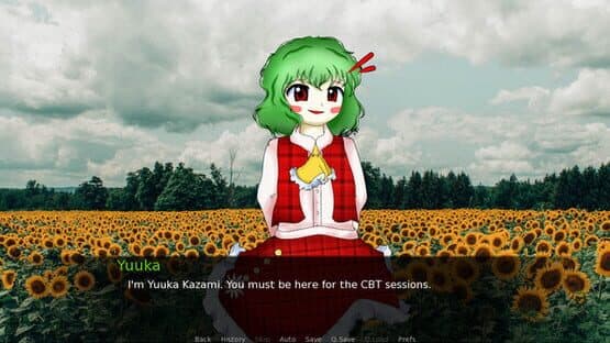 CBT With Yuuka Kazami screenshot 2