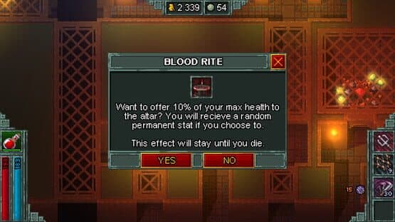 Heroes of Hammerwatch: Witch Hunter screenshot 4