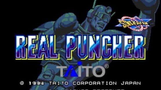 Sonic Blast Man: Real Puncher screenshot 1