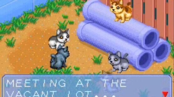 Catz screenshot 1