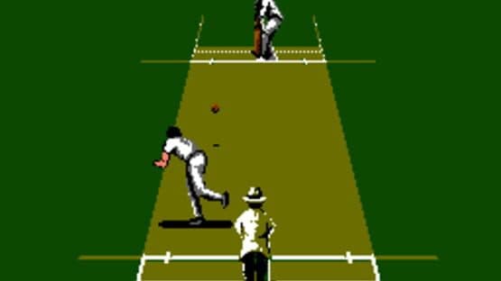 International Cricket screenshot 1