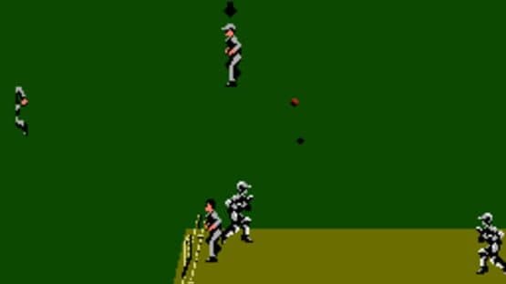 International Cricket screenshot 3