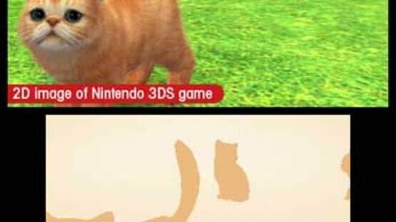 Nintendogs + Cats: Toy Poodle & New Friends screenshot 4
