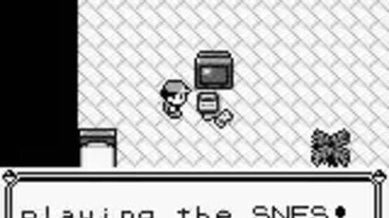 Pokémon Blue Version screenshot 1