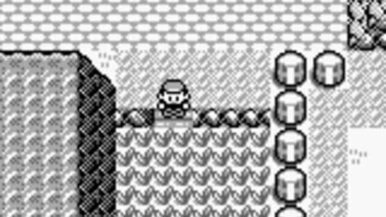 Pokémon Blue Version screenshot 3