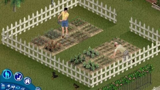 The Sims: Unleashed screenshot 5