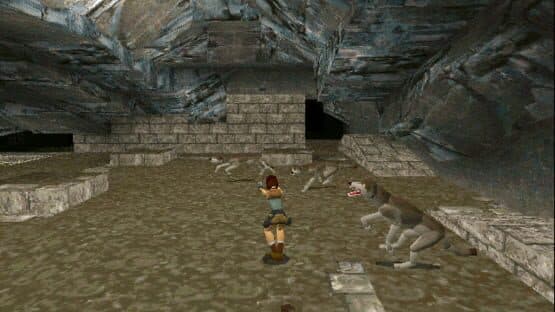 Tomb Raider screenshot 6