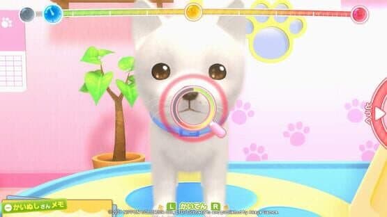 Pups & Purrs Animal Hospital screenshot 6