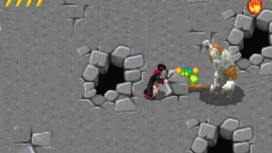 Harry Potter and the Sorcerer's Stone screenshot 6