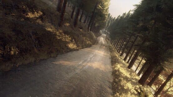 DiRT Rally 2.0: Colin McRae - Flat Out Pack screenshot 3