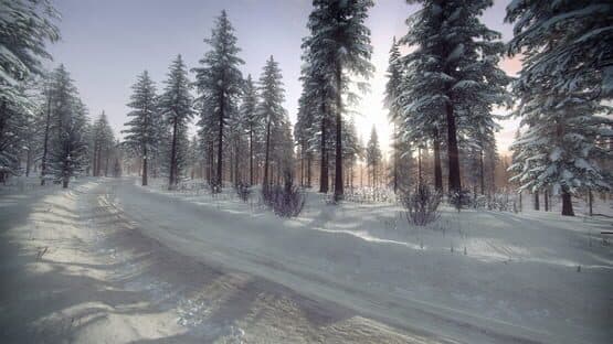 DiRT Rally 2.0: Sweden (Rally Location) screenshot 5