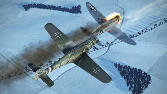 IL-2 Sturmovik: Battle of Stalingrad - Fw 190 D-9 Collector Plane screenshot 1
