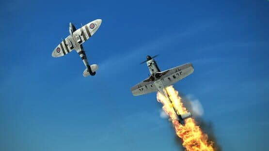 IL-2 Sturmovik: Battle of Stalingrad - Fw 190 D-9 Collector Plane screenshot 6