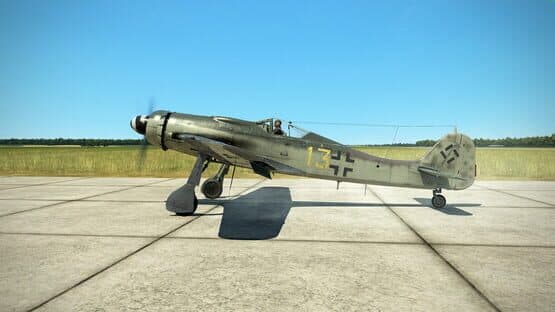 IL-2 Sturmovik: Battle of Stalingrad - Fw 190 D-9 Collector Plane screenshot 4