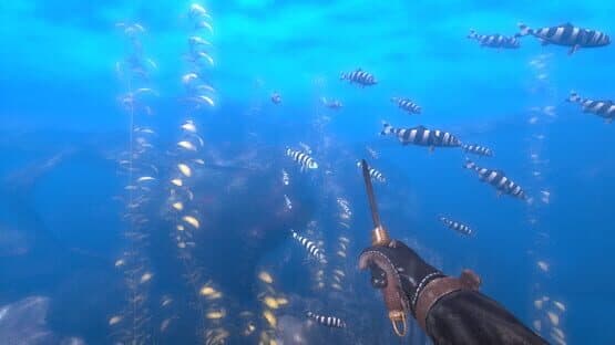 Depth: Wilhelm Diver screenshot 3