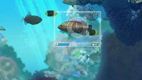 Caribbean Sea Fishes screenshot 2