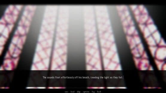 A Portrait of Feathers screenshot 2