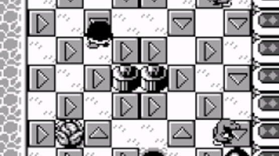 Mole Mania screenshot 4