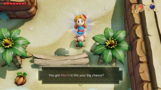 The Legend of Zelda: Link's Awakening screenshot 6