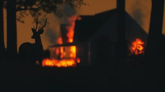 Disposition screenshot 4