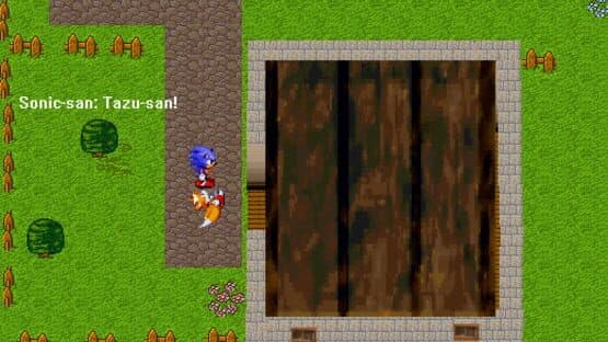 ShenSonic screenshot 1