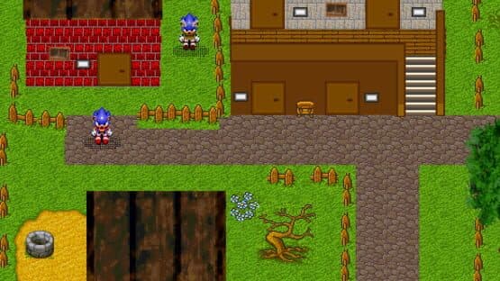 ShenSonic screenshot 2