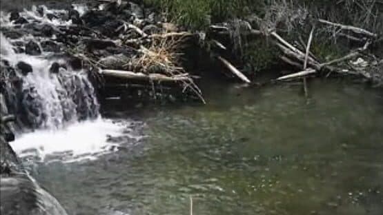 Reel Fishing screenshot 2