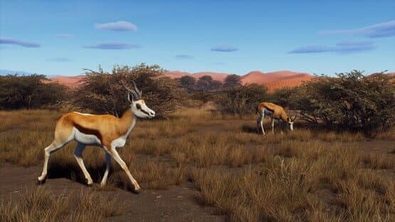 Way of the Hunter: Tikamoon Plains screenshot 5