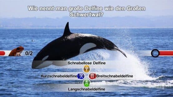 Nat Geo Challenge! Wild Life screenshot 1