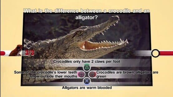 Nat Geo Challenge! Wild Life screenshot 4