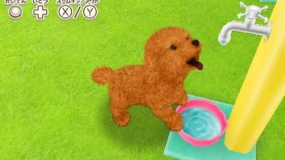 Kawaii Pet to Kurasou! Wan Nyan & Mini Mini Animal screenshot 2
