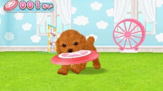 Kawaii Pet to Kurasou! Wan Nyan & Mini Mini Animal screenshot 3
