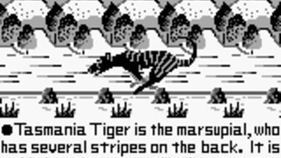 Tasmania Story screenshot 2