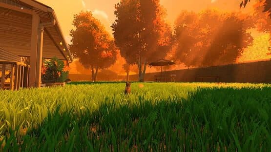 Copycat screenshot 4