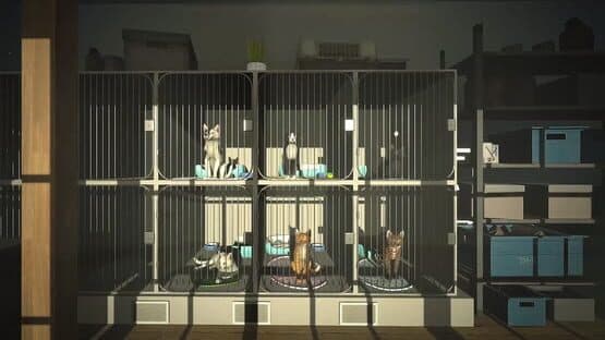 Copycat screenshot 3