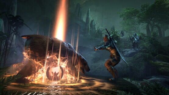 The Elder Scrolls Online: Gold Road screenshot 5