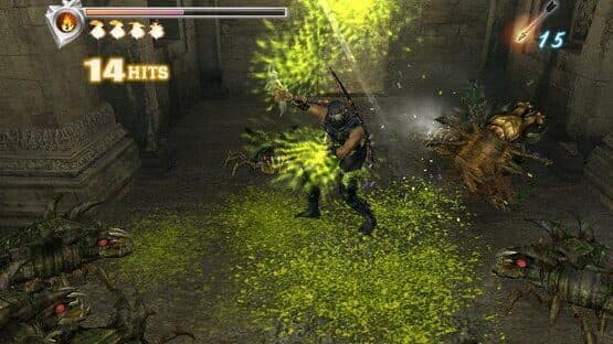 Ninja Gaiden screenshot 3
