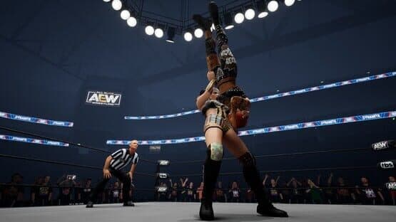 All Elite Wrestling: Fight Forever - Hayter's Gunna Game screenshot 1