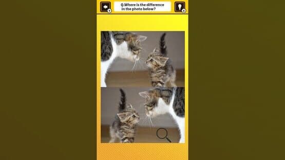 Train Your Brain! Spot the Difference with Cat Photos screenshot 1
