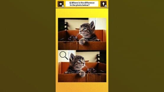 Train Your Brain! Spot the Difference with Cat Photos screenshot 2