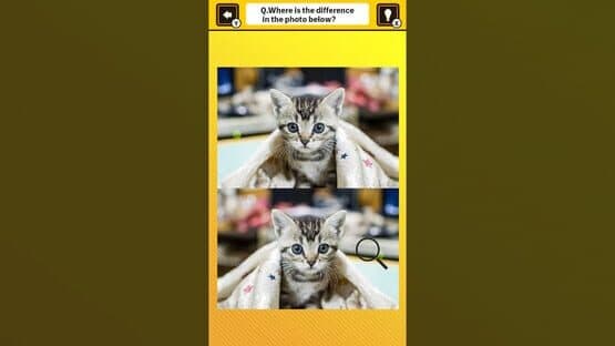 Train Your Brain! Spot the Difference with Cat Photos screenshot 3