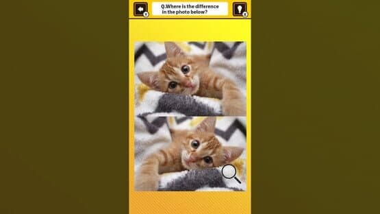 Train Your Brain! Spot the Difference with Cat Photos screenshot 4