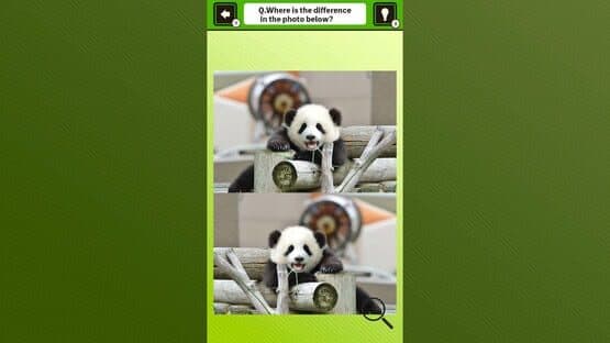 Super Kawaii! Finding Mistakes in Panda Photos screenshot 2