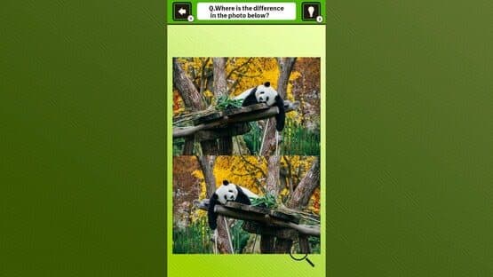 Super Kawaii! Finding Mistakes in Panda Photos screenshot 3